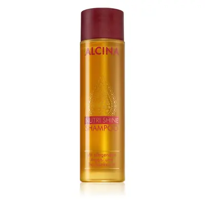 Alcina Nutri Shine tápláló sampon Argán olajjal 250 ml