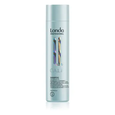 Londa Professional Calm finom állagú sampon érzékeny fejbőrre 250 ml