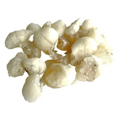 Jungle Way Oman Hojari White Royal tömjén 20 g