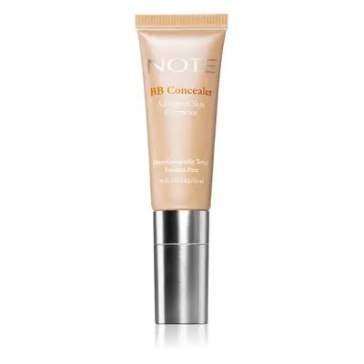 Note Cosmetique BB Advanced Skin Corrector tartós korrektor SPF 15 árnyalat 02 10 ml