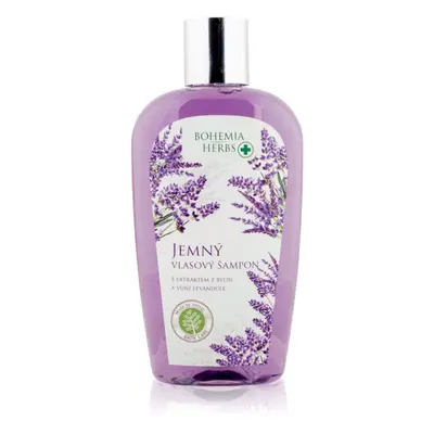 Bohemia Gifts & Cosmetics Bohemia Herbs Lavender hajsampon 250 ml