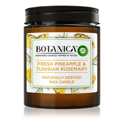 Air Wick Botanica Fresh Pineapple & Tunisian Rosemary illatgyertya 205 g