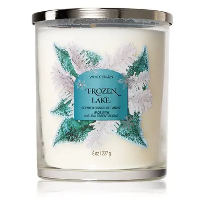 Bath & Body Works Frozen Lake illatgyertya 227 g