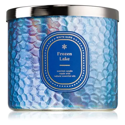 Bath & Body Works Frozen Lake illatgyertya 411 g