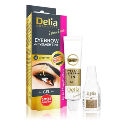 Delia Cosmetics Eyebrow Expert szemöldök- és szempilla festék aktivátorral árnyalat 1.1. Graphit