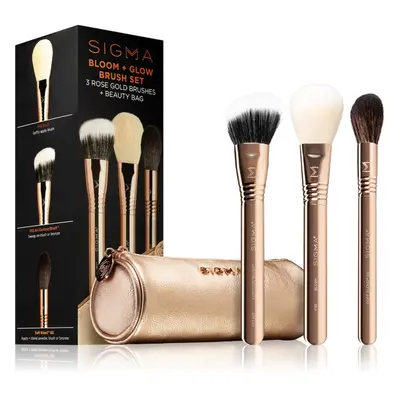 Sigma Beauty Brush Set Bloom + Glow smink egyet szett