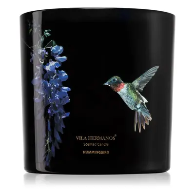 Vila Hermanos Jungletopia Hummingbird illatgyertya 620 g