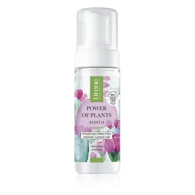 Lirene Power of Plants Opuntia finoman tisztító hab kisimító hatással 150 ml