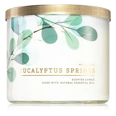 Bath & Body Works Eucalyptus Springs illatgyertya 411 g