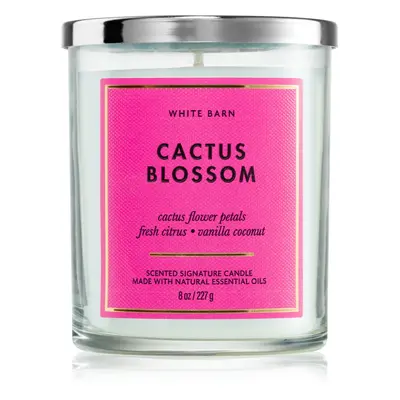 Bath & Body Works Cactus Blossom illatgyertya 227 g