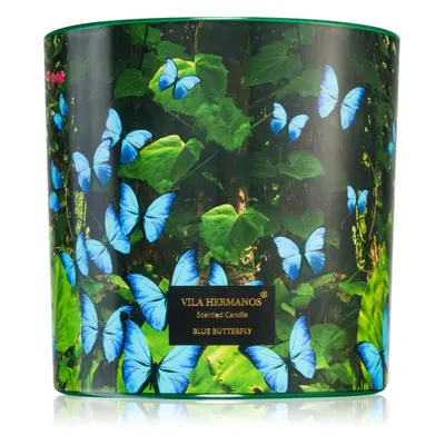 Vila Hermanos Jungletopia Blue Butterfly illatgyertya 620 g