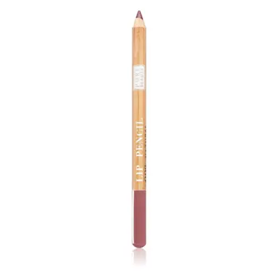 Astra Make-up Pure Beauty Lip Pencil szájkontúrceruza natúr árnyalat 05 Rosewood 1,1 g