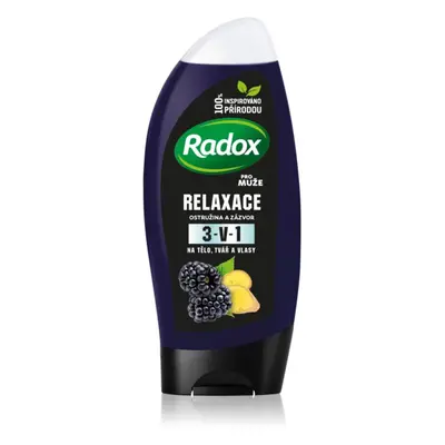 Radox Men Feel Wild tusfürdő gél arcra, testre és hajra uraknak Blackberry & Ginger 225 ml