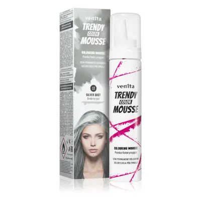 Venita Trendy Color Mousse színező hab ammónia nélkül árnyalat No. 11 - Silver Dust 75 ml