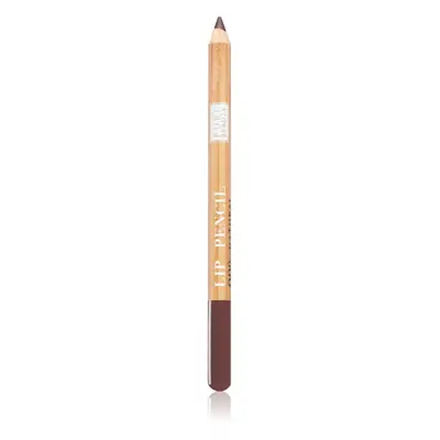 Astra Make-up Pure Beauty Lip Pencil szájkontúrceruza natúr árnyalat 02 Bamboo 1,1 g