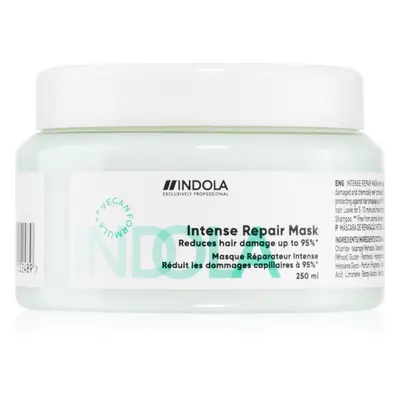 Indola Repair Intense Repair Mask erősítő maszk a nagyon károsult hajra 250 ml