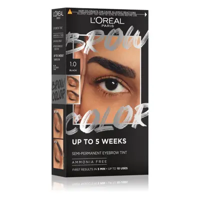 L’Oréal Paris Brow Color szemöldökfesték árnyalat 1.0 Black 1 db