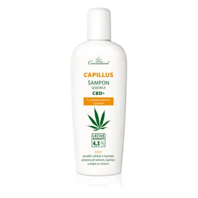 Cannaderm Seborea CBD+ sampon korpásodás ellen 150 ml