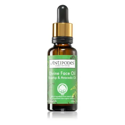 Antipodes Divine Face Oil Rosehip & Avocado Oil védő szérum a bőröregedés első jeleinek eltüntet