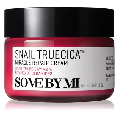 Some By Mi Snail Truecica Miracle Repair nyugtató és hidratáló krém 60 g