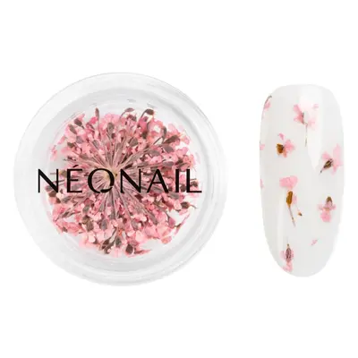 NEONAIL Dried Flowers szárított virág körmökre árnyalat Pink 1 db