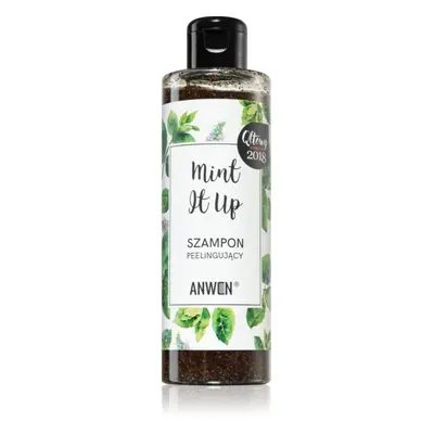 Anwen Mint It Up hámlasztó sampon 200 ml