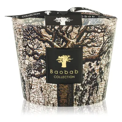 Baobab Collection Sacred Trees Morondo illatgyertya 10 cm