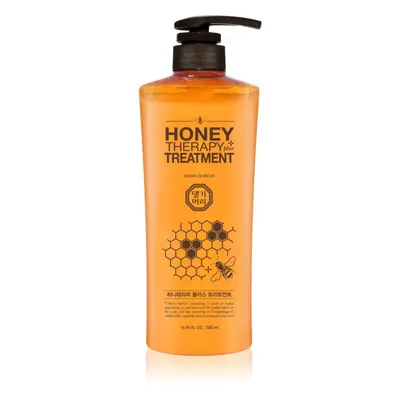 DAENG GI MEO RI Honey Therapy Professional Plus Treatment intenzíven regeneráló kondicionáló 500