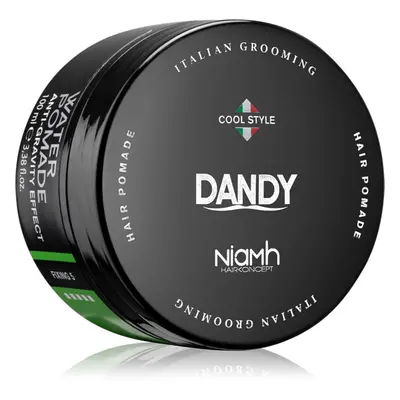 DANDY Water Pomade Anti-Gravity Effect kenőcs a hajra erős szilárdulással 100 ml