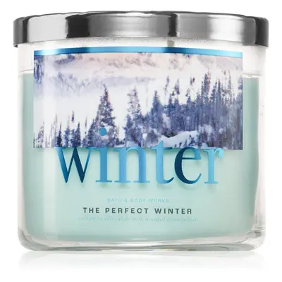 Bath & Body Works The Perfect Winter illatgyertya 411 g