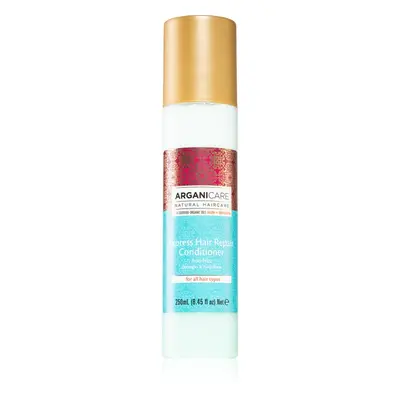 Arganicare Argan Oil & Shea Butter Express Hair Repair öblítést nem igénylő spray kondicionáló 2