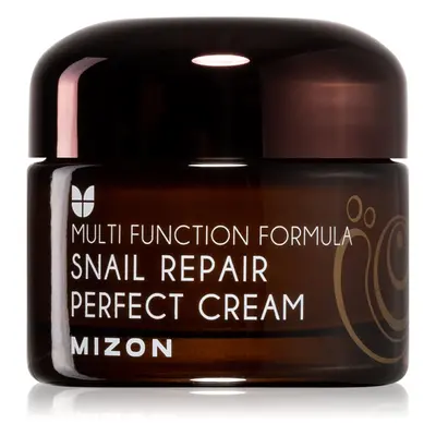 Mizon Multi Function Formula Snail bőrkrém csiga szekréció 60% szűrletével 50 ml