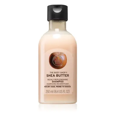 The Body Shop Shea Shampoo tápláló sampon 250 ml