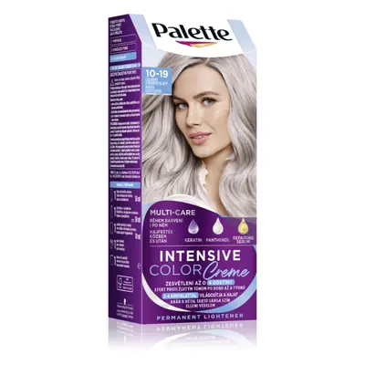 Schwarzkopf Palette Intensive Color Creme tartós hajfesték árnyalat 10-19 Cool Silver Blonde 1 d