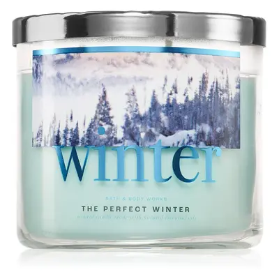 Bath & Body Works The Perfect Winter illatgyertya 411 g