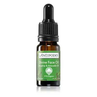 Antipodes Divine Face Oil Rosehip & Avocado Oil védő szérum a bőröregedés első jeleinek eltüntet