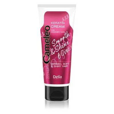 Delia Cosmetics Cameleo Smooth & Shine 60 sec hajkrém a fénylő és selymes hajért 250 ml