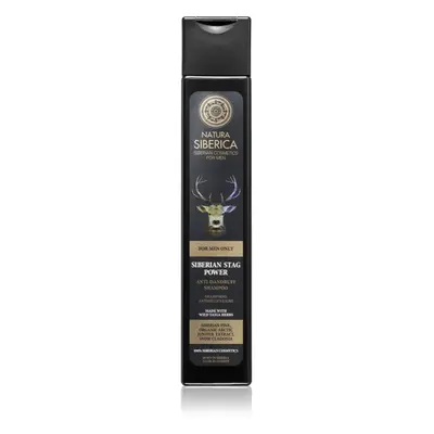 Natura Siberica For Men Only korpásodás elleni sampon 250 ml