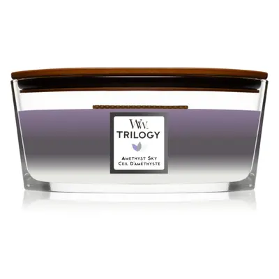 Woodwick Trilogy Amethyst Sky illatgyertya fa kanóccal (hearthwick) 453,6 g