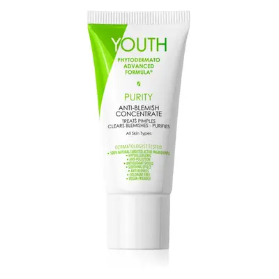 YOUTH Purity Anti-Blemish Concentrate helyi ápolás pattanásos bőrre 20 ml