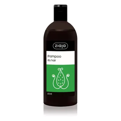 Ziaja Family Shampoo sampon a száraz és matt hajra Aloe Vera tartalommal 500 ml