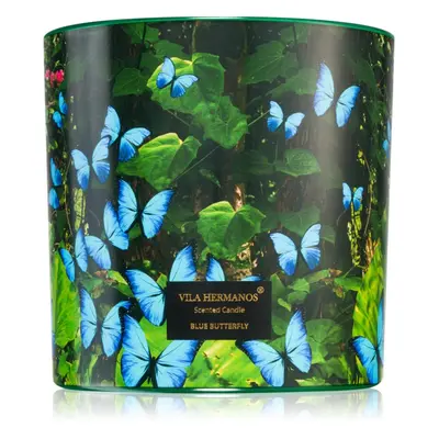 Vila Hermanos Jungletopia Blue Butterfly illatgyertya 620 g