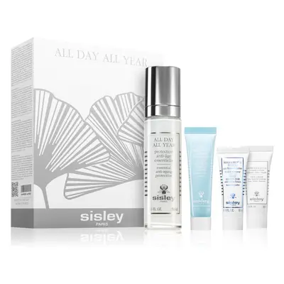 Sisley All Day All Year exkluzív ápolás a bőr tökéletlenségei ellen