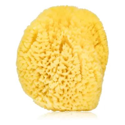 Agnotis Natural sponge gyermek fürdőszivacs 1 db