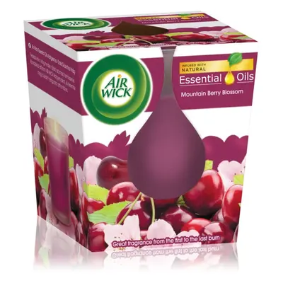 Air Wick Essential Oil Mountain Berry Blossom illatgyertya 105 g