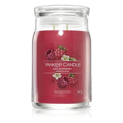 Yankee Candle Red Raspberry illatgyertya Signature 567 g