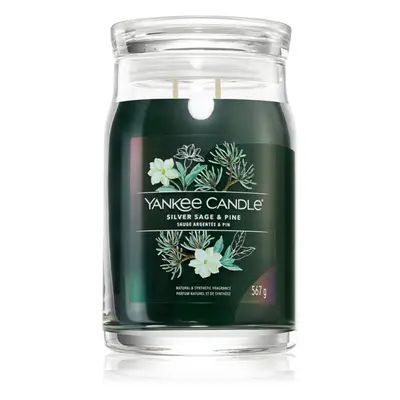 Yankee Candle Silver Sage & Pine illatgyertya Signature 567 g