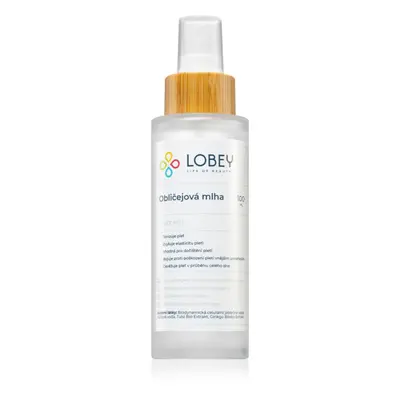 Lobey Skin Care Obličejová Mlha bőr tonizáló permet 100 ml