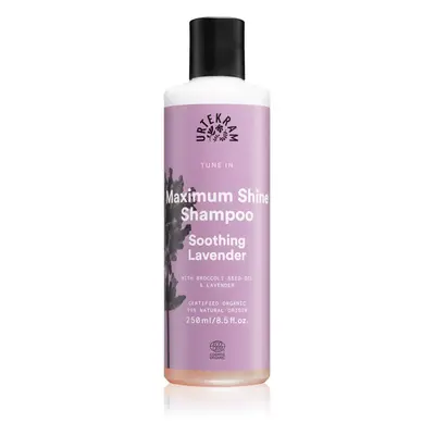 Urtekram Soothing Lavender nyugtató sampon a fénylő és selymes hajért 250 ml