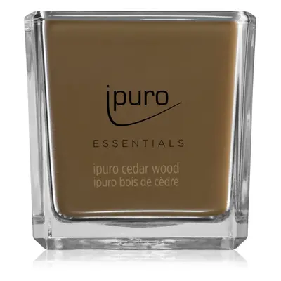 ipuro Essentials Cedar Wood illatgyertya 125 g